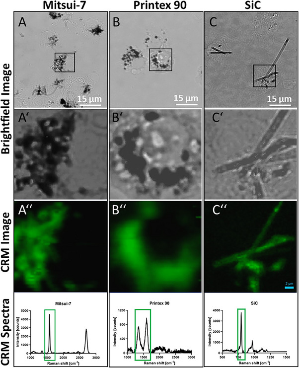 FIGURE 3