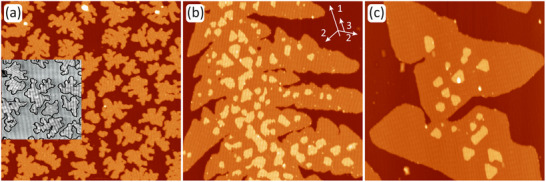 FIGURE 2