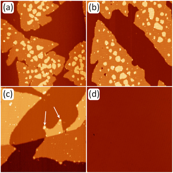 FIGURE 3