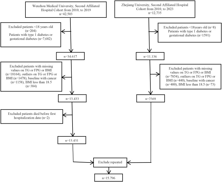 Figure 1
