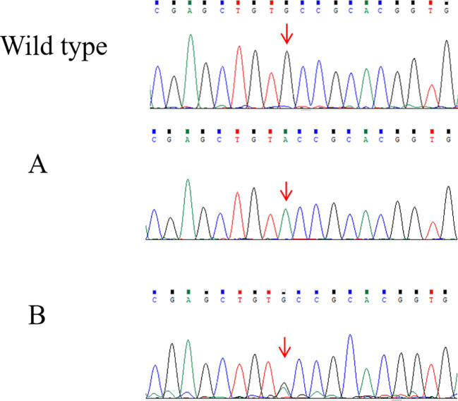 Figure 2