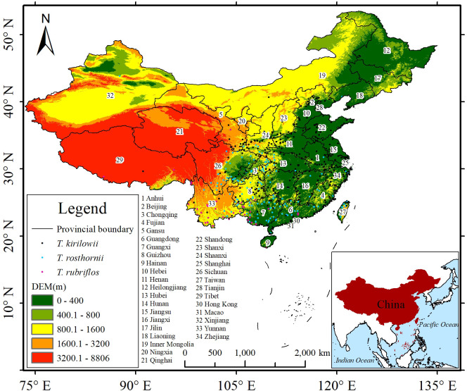 Figure 2