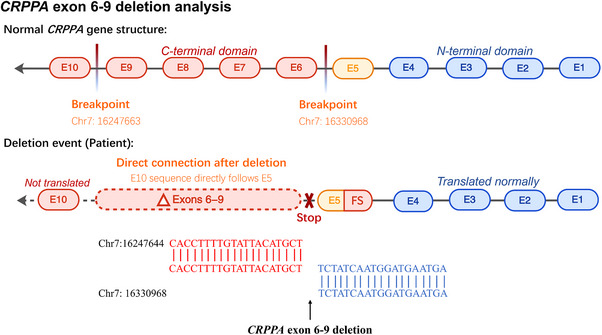 FIGURE 4