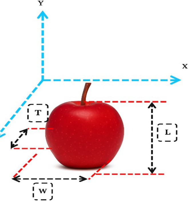 FIGURE 1