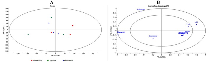 FIGURE 8