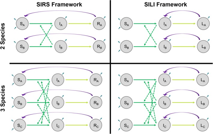 FIGURE 1