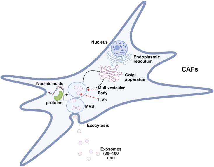 Figure 2
