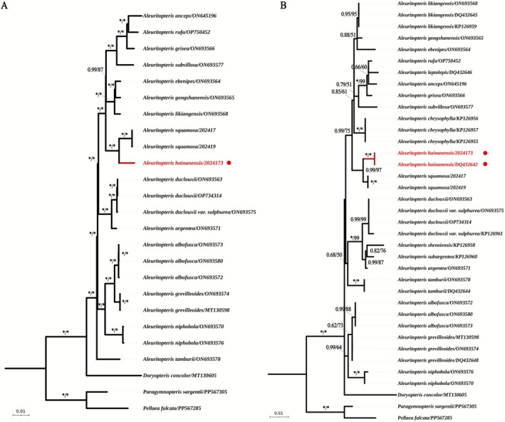 FIGURE 2
