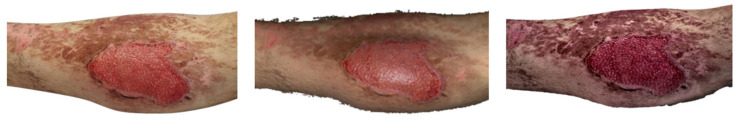 Figure 10