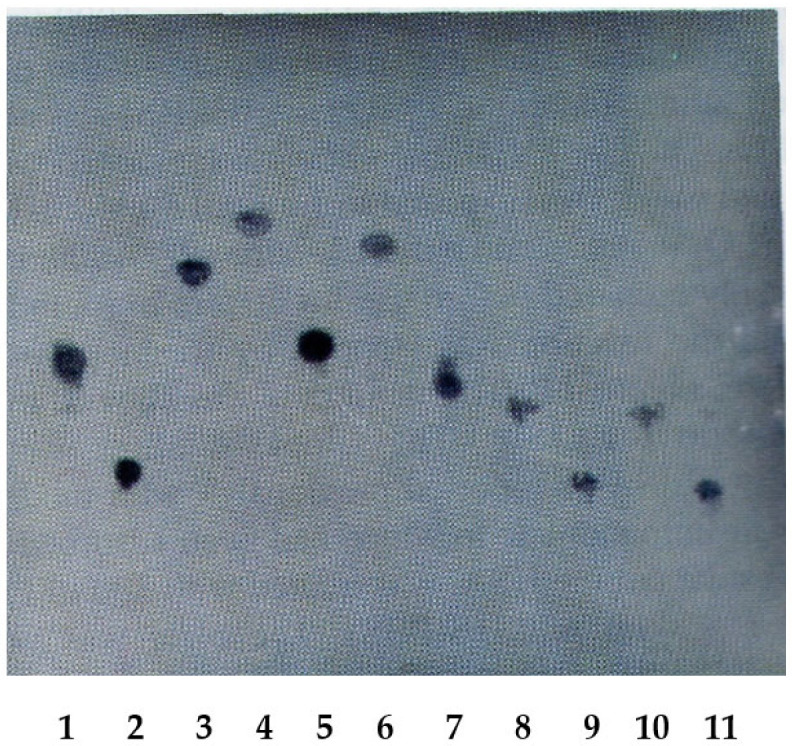 Figure 6