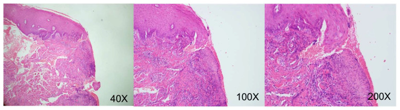 Figure 9
