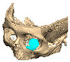 Figure 28