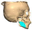 Figure 29