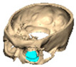 Figure 33