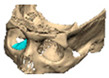 Figure 40