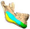 Figure 42