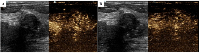 Figure 3