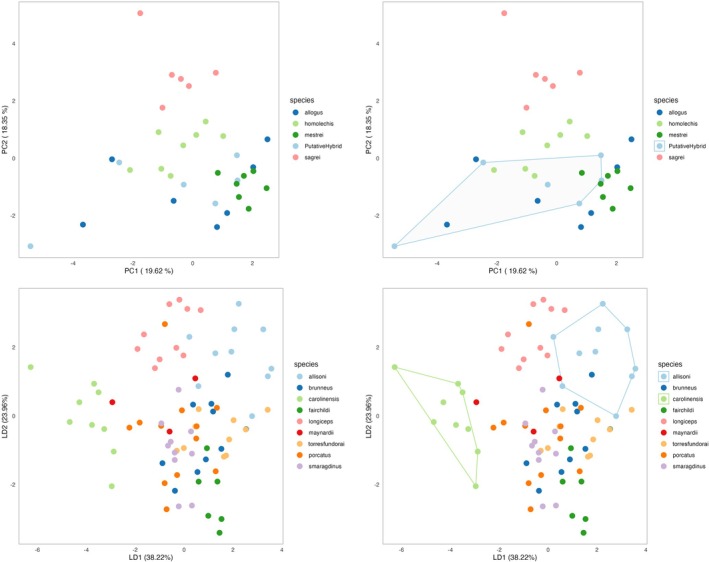FIGURE 3