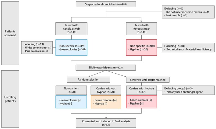 FIGURE 1