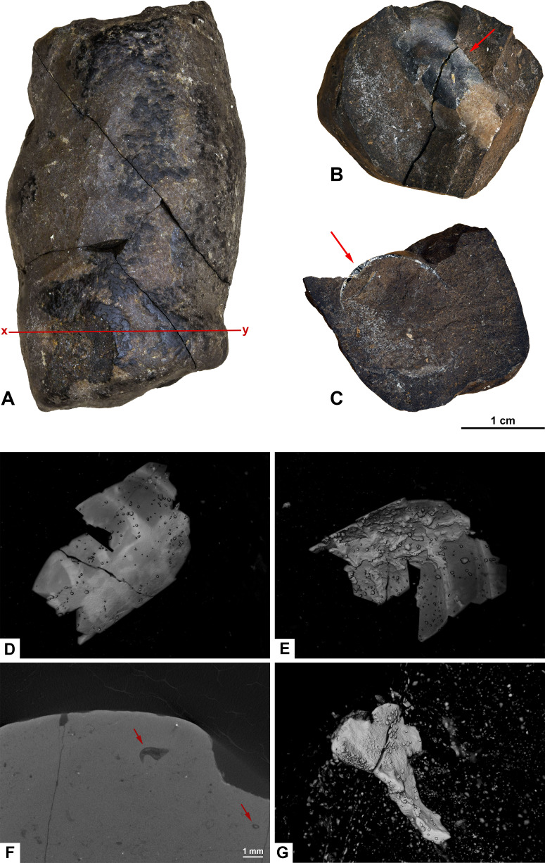 Figure 7