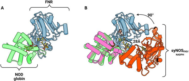 Fig. 6
