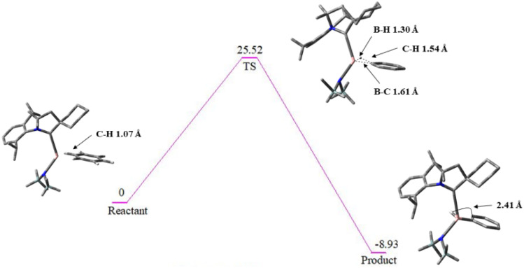 Fig. 10