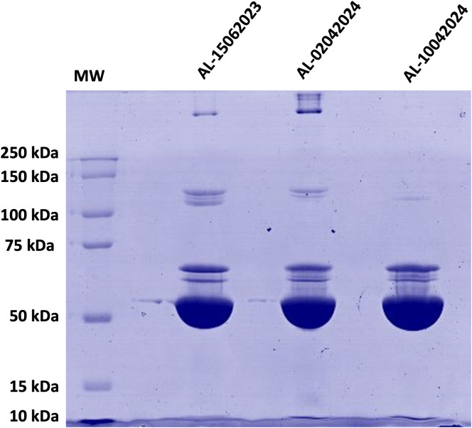 Fig 2
