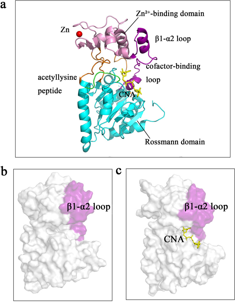 Fig 1