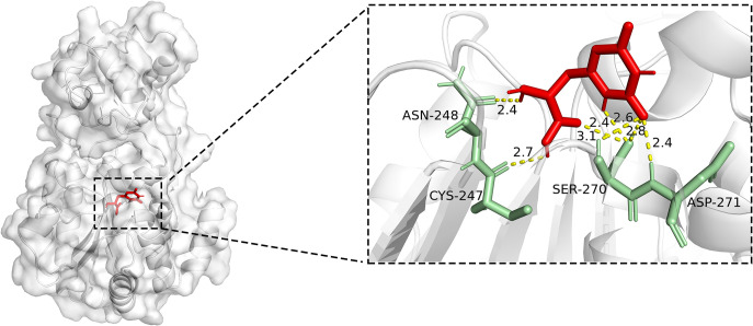 Fig 7