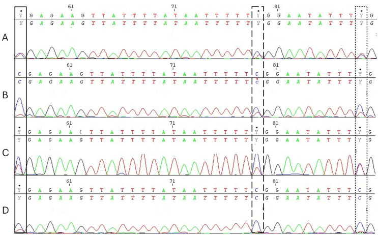 Fig 4