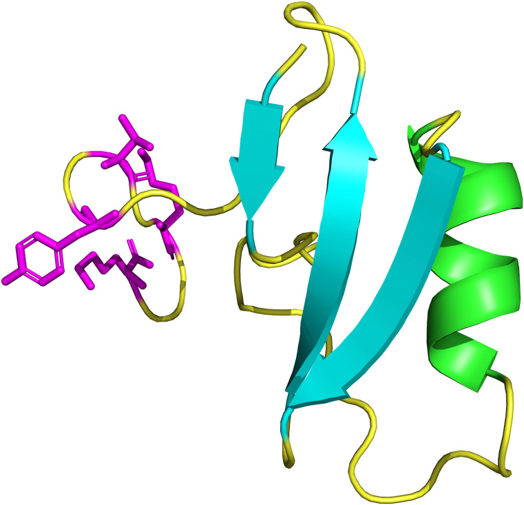 Fig 5