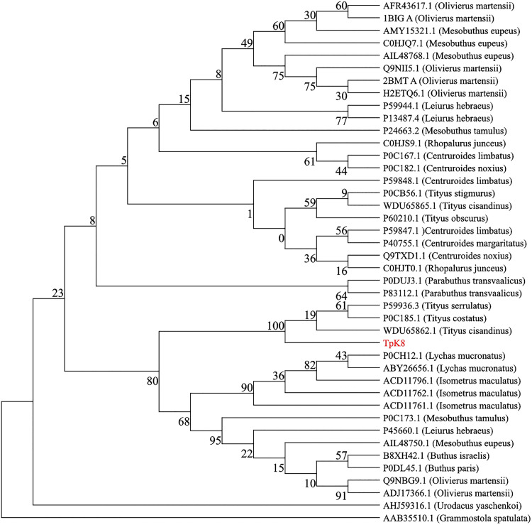 Fig 11