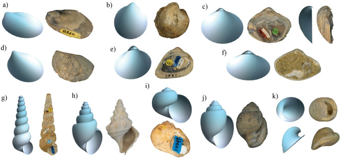 Fig 3