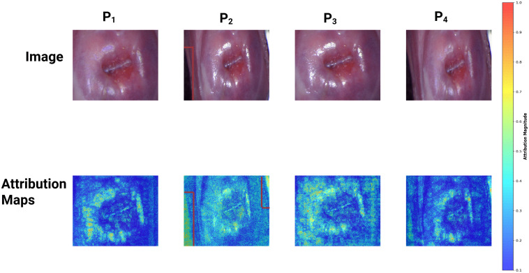 Fig 6
