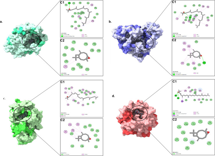 Fig 6