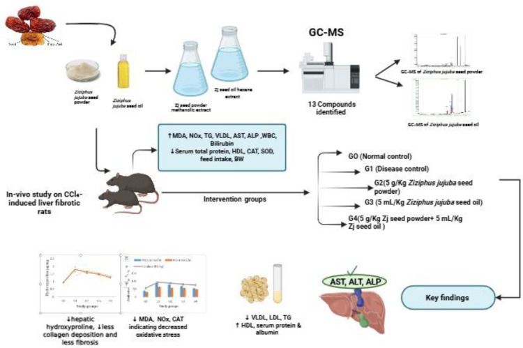 Fig 1