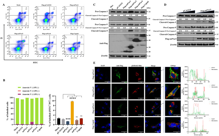 Fig 4