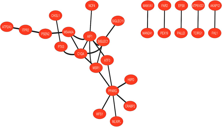 Fig 2