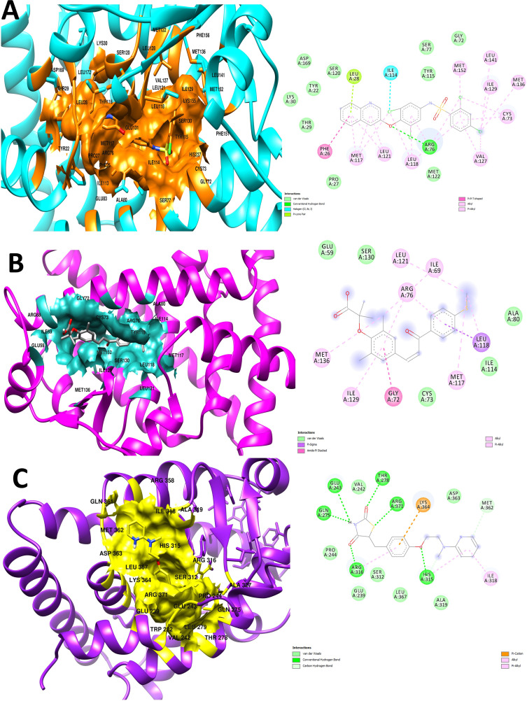 Fig 8