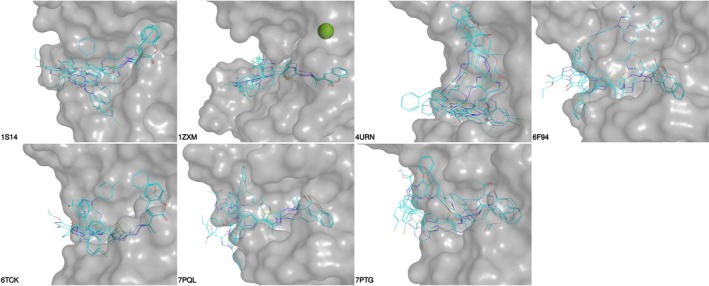 Figure 6
