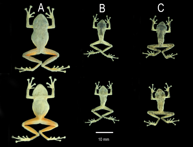 Figure 5