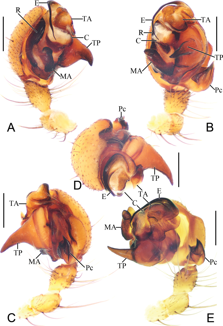 Figure 7