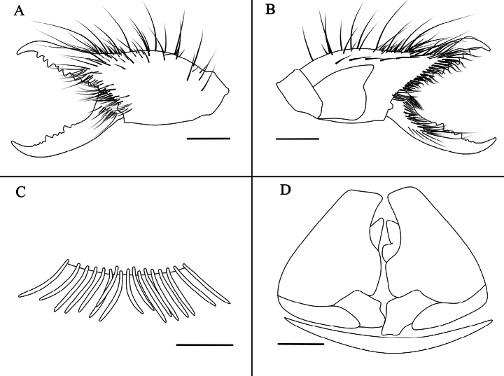Figure 9