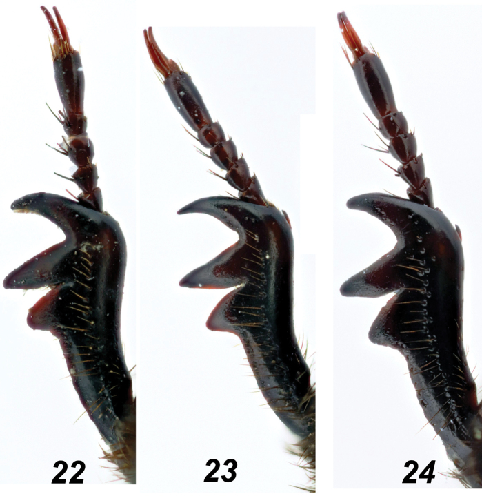 Figure 5