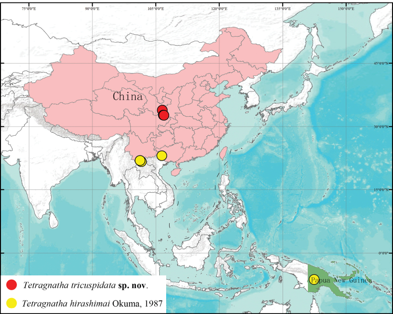 Figure 7