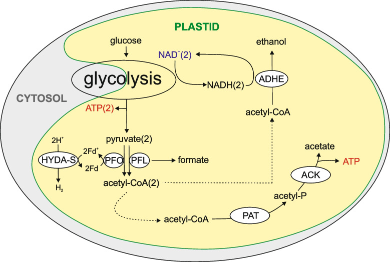 Figure 9