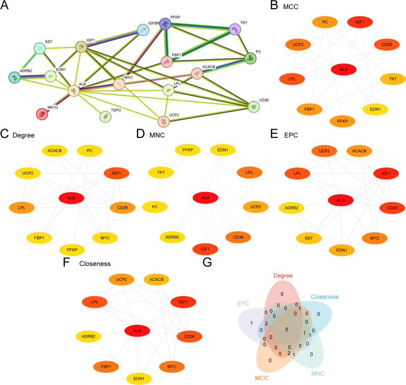 Figure 6