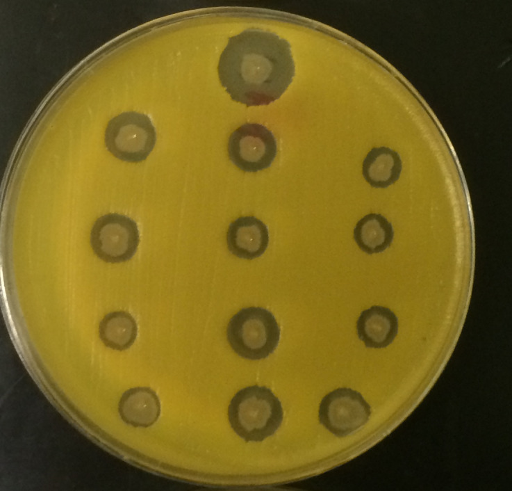 Figure 6