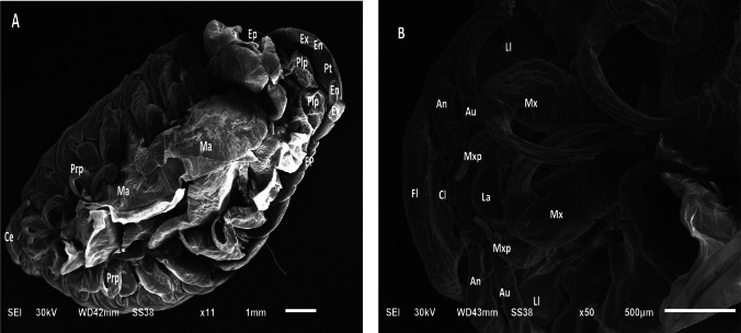 Figure 11
