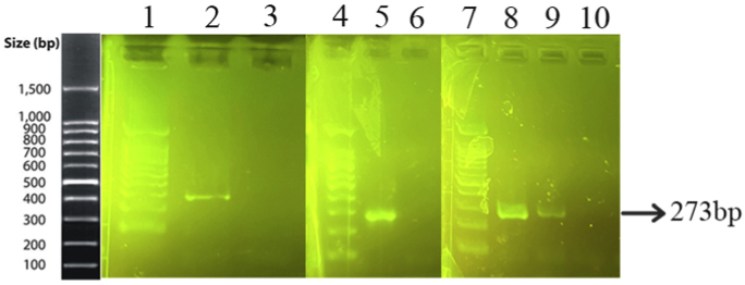 Figure 9
